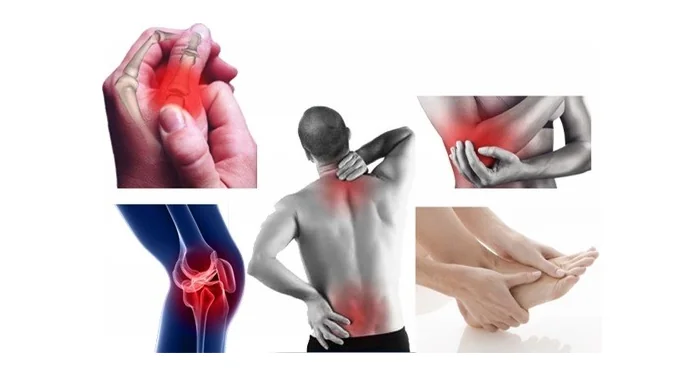 5 Dấu Hiệu 